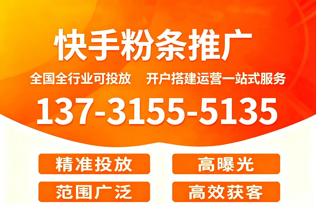 快手粉条推广